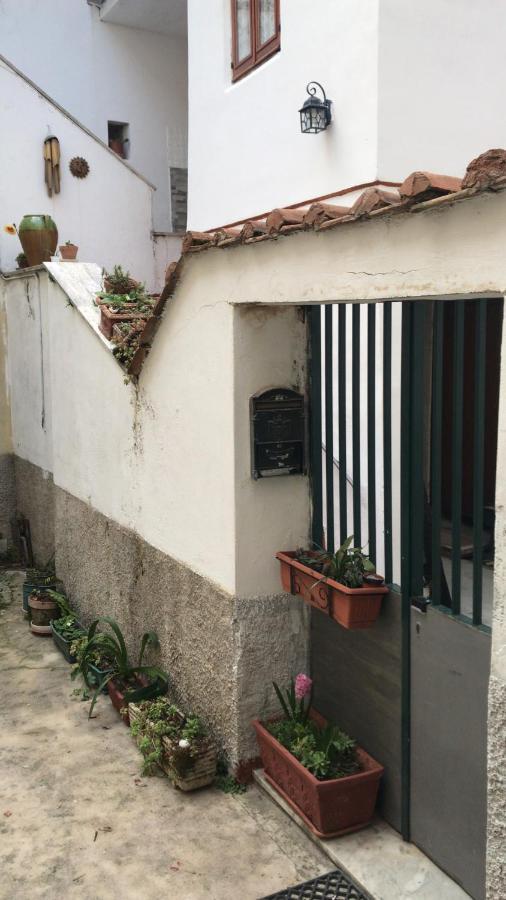 Casa Vacanze Rosa Blu Giffoni Valle Piana Εξωτερικό φωτογραφία